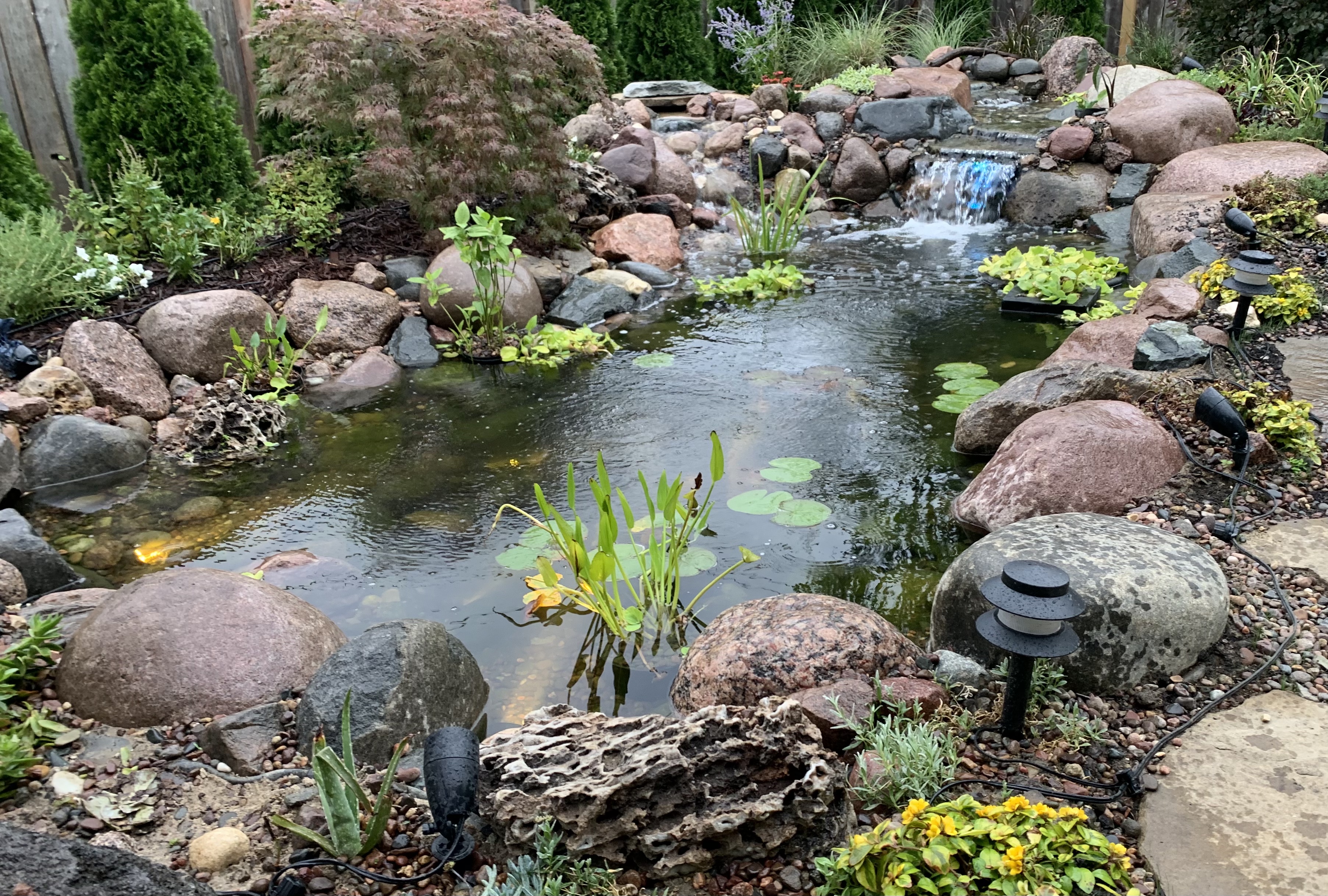 Natural garden pond with waterfall in Jerusalem area