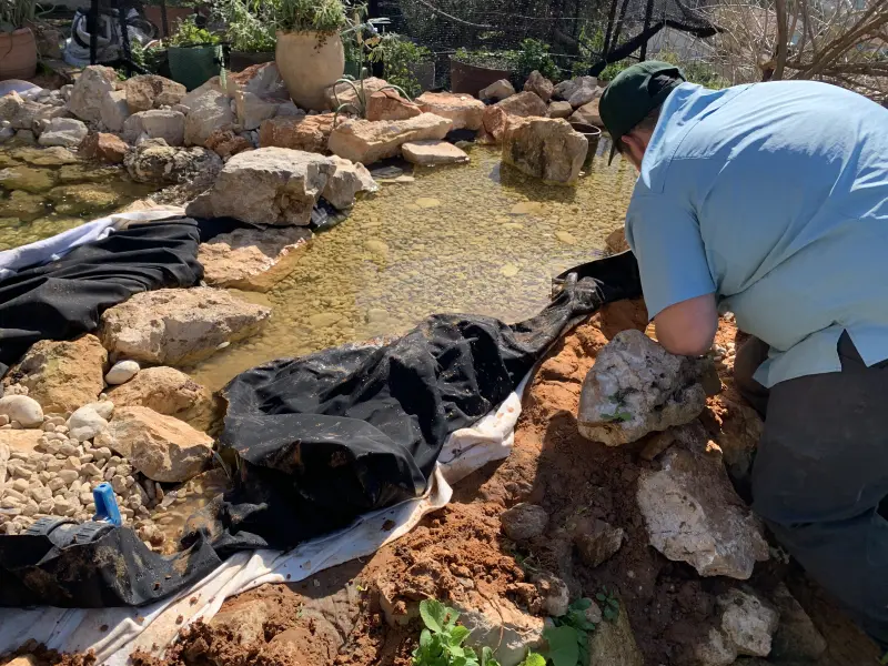 Ecological pond water feature Gush Etzion