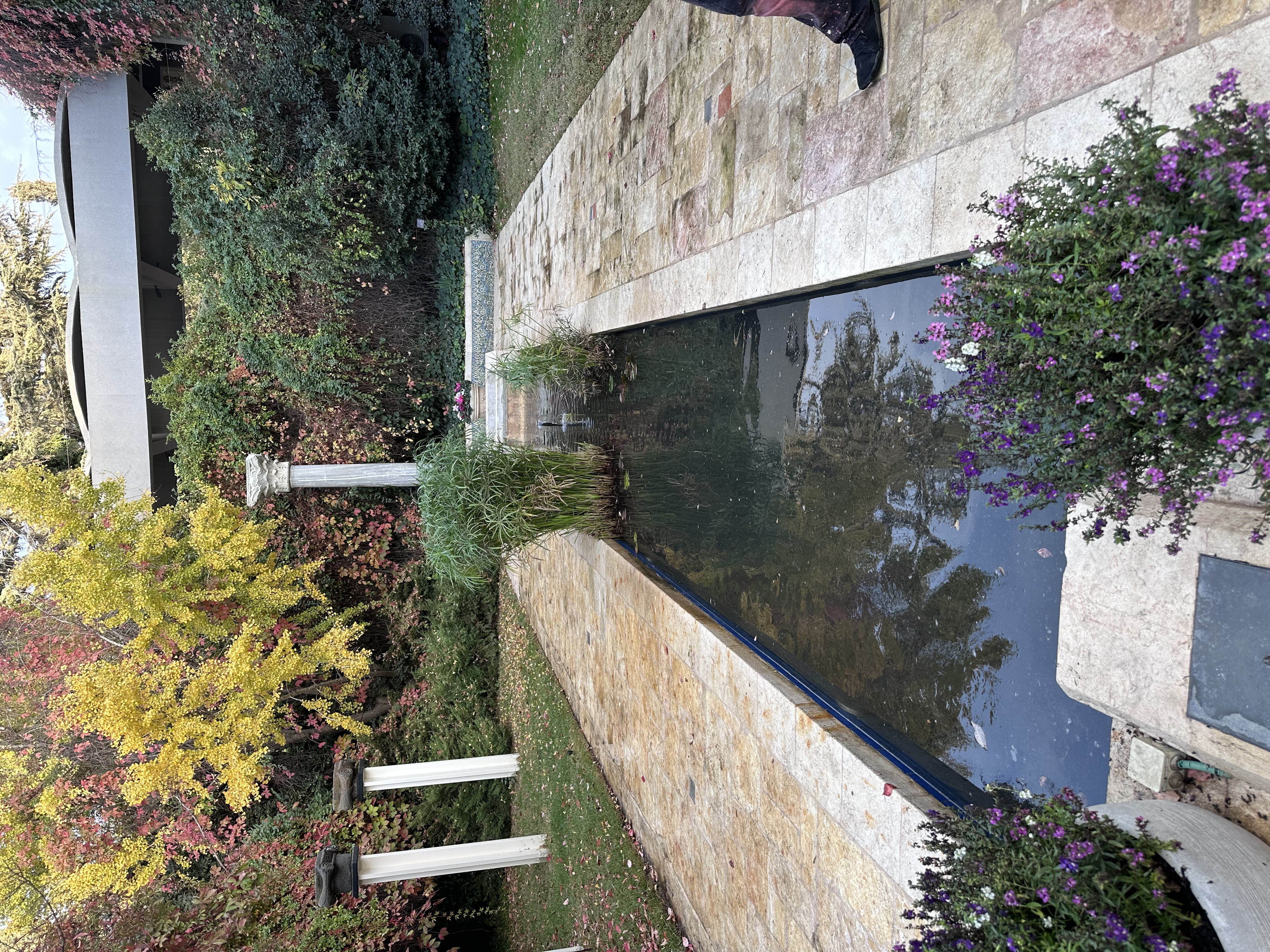 Swimming pool cleaning Gush Etzion