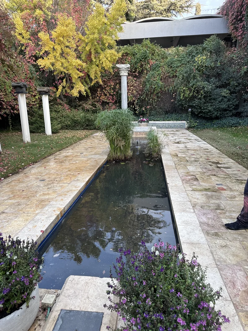 Swimming pool cleaning Gush Etzion