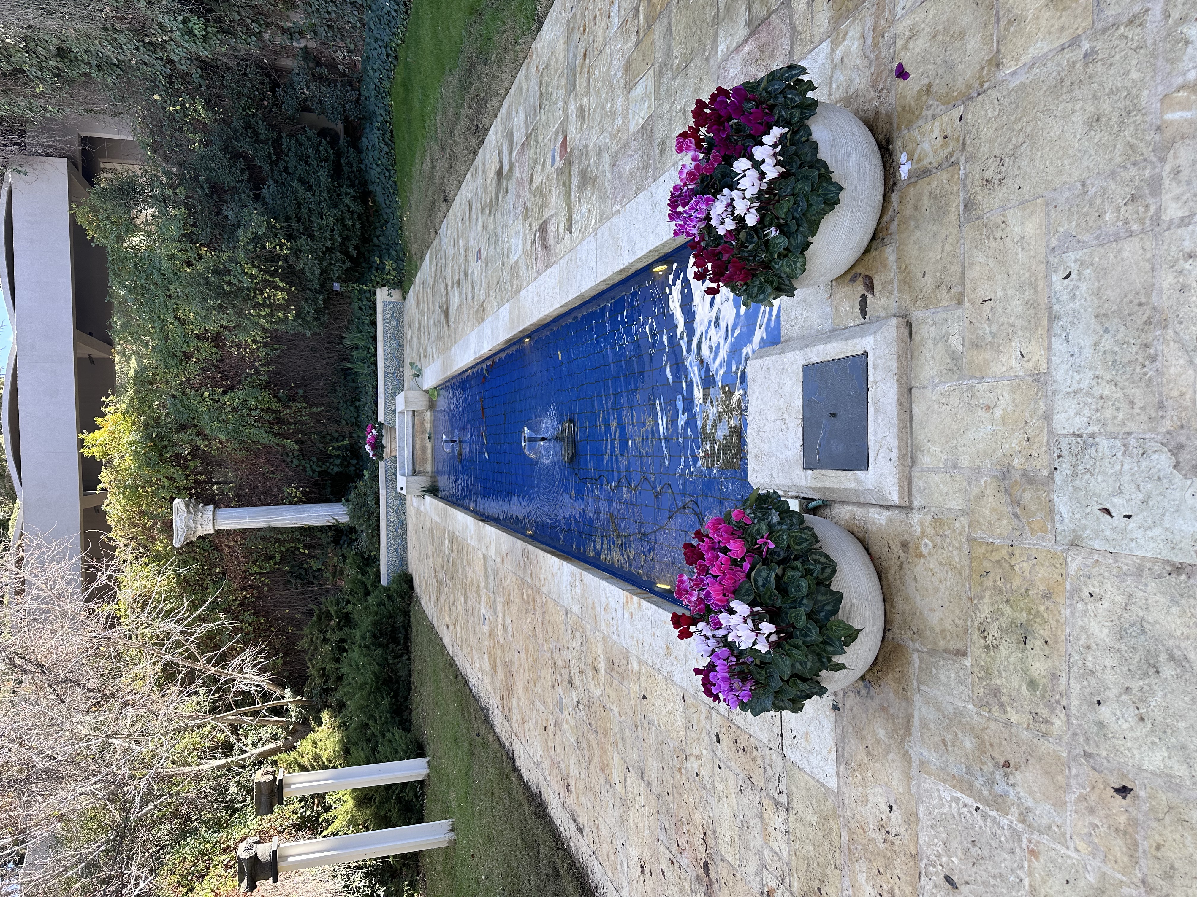 Pool maintenance Tzur Hadassah